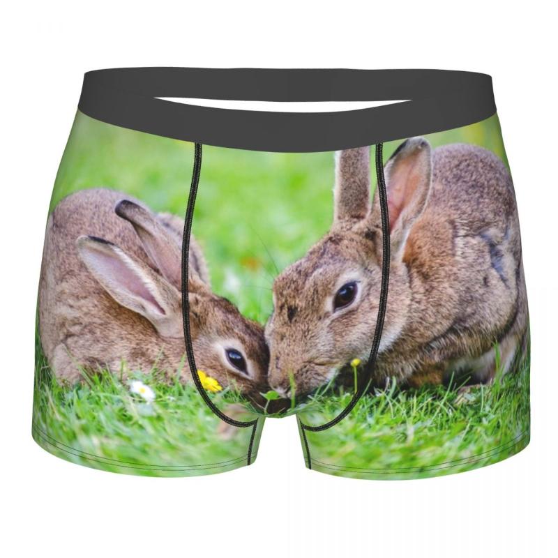 

Underpants Boxershorts Men Comforable Panties Set Two Rabbits On Grass Underwear Man Boxer, Black;white