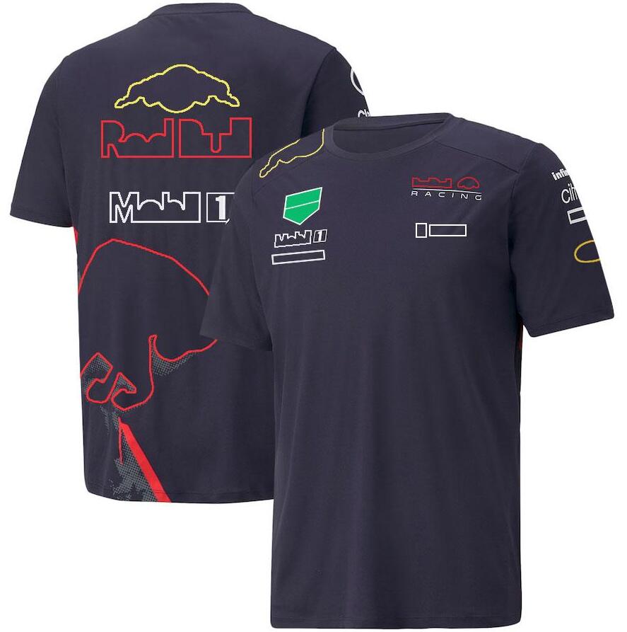 

2022 Summer New F1 Racing Polo Shirts Formula One Team T-shirts, the same custom