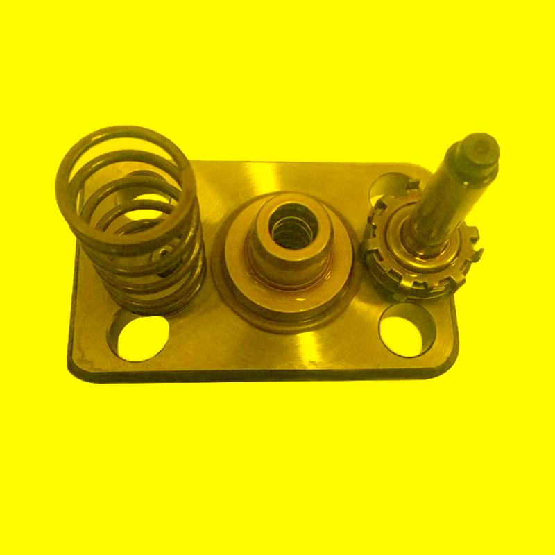 

Diagnostic Tools Common Rail Pump CRI CP1 Plunger PartsDiagnostic