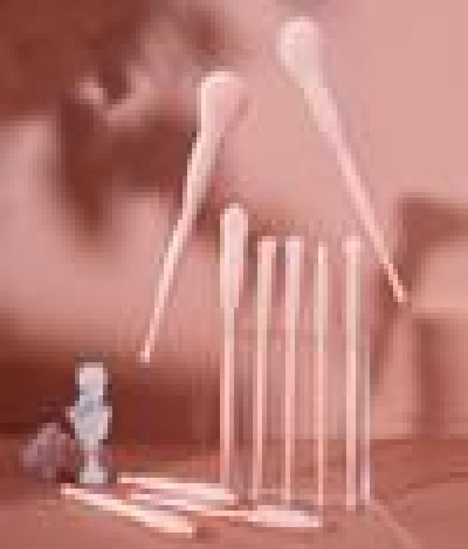 

Makeup Brushes 10 Brush Set Candy Color Eye Shadow Blush Loose Powder Foundation Lip Beauty Tools Full