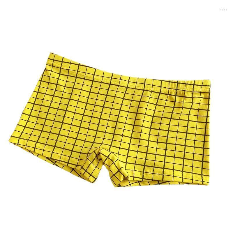 

Women's Panties HaleyChan Cotton Lattice Boyshort 1 Pack Boxer Briefs For Women's Tomboy Trans Lesbian Transgender Ftm Lingerie Underwea, Gray