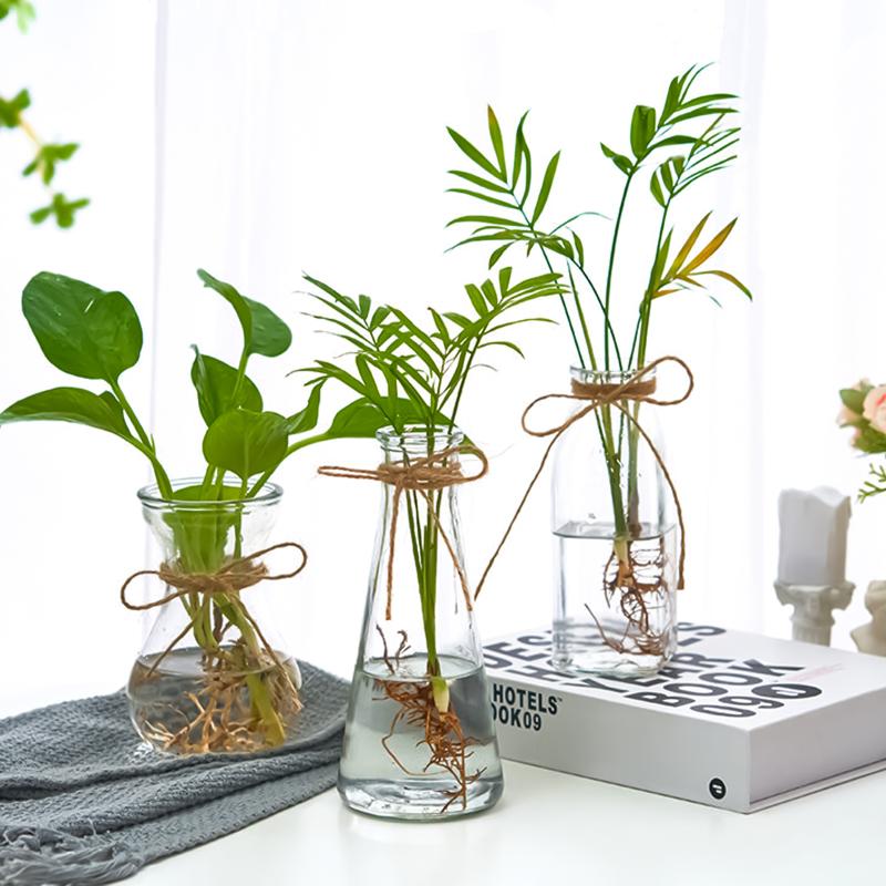 

Vases Nordic Transparent Hydroponic Glass Vase DIY Rope Dried Flower Living Room Dining Table Shelf Desk Decoration