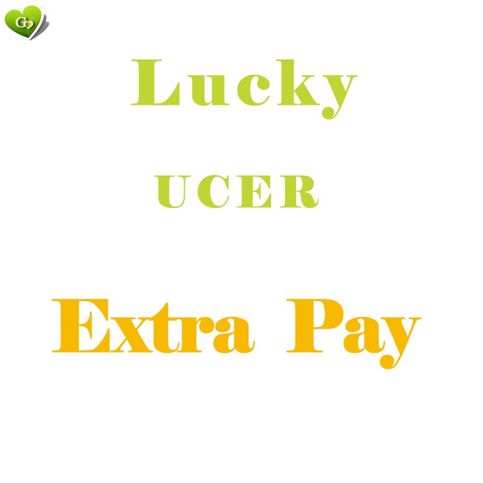 

Payment Link for Lucky Ucer adding items extra 253N