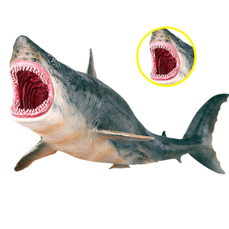 Sea Life Megalodon Model Action Figure PVC Ocean Animal Educational Learning Toy For Kid Gift-image-782664842