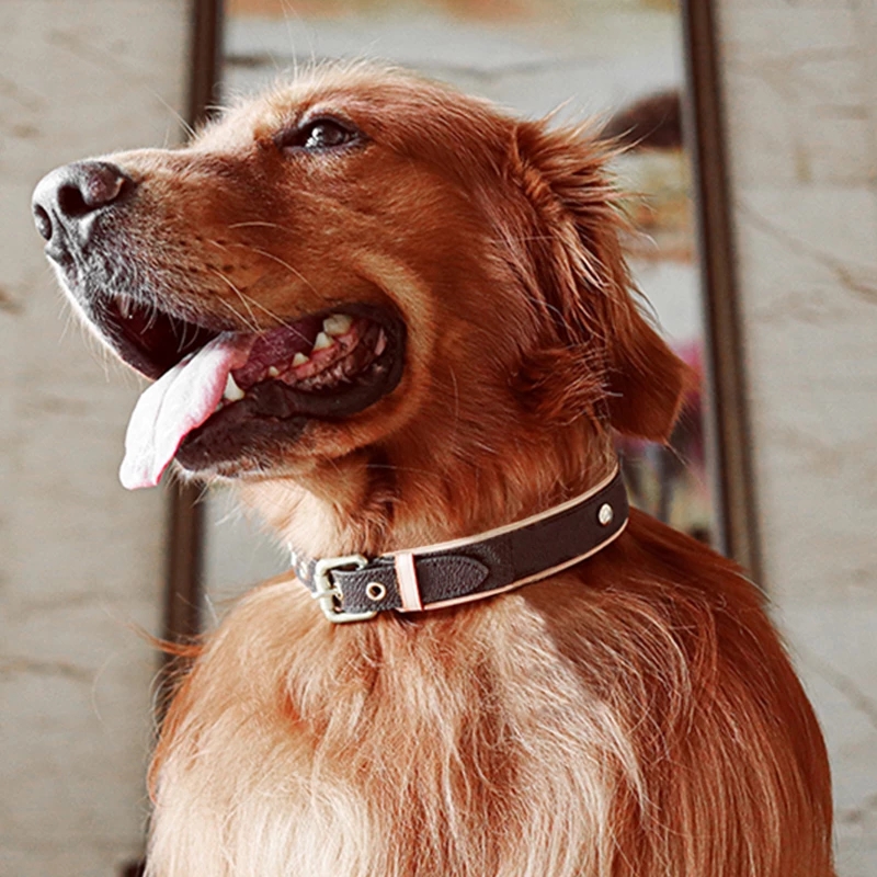 

Fashion Floral Printed metal Dog Collars Classic Style Genuine Leather Leashes letter pattern Home luxury design pet supplies adjustable