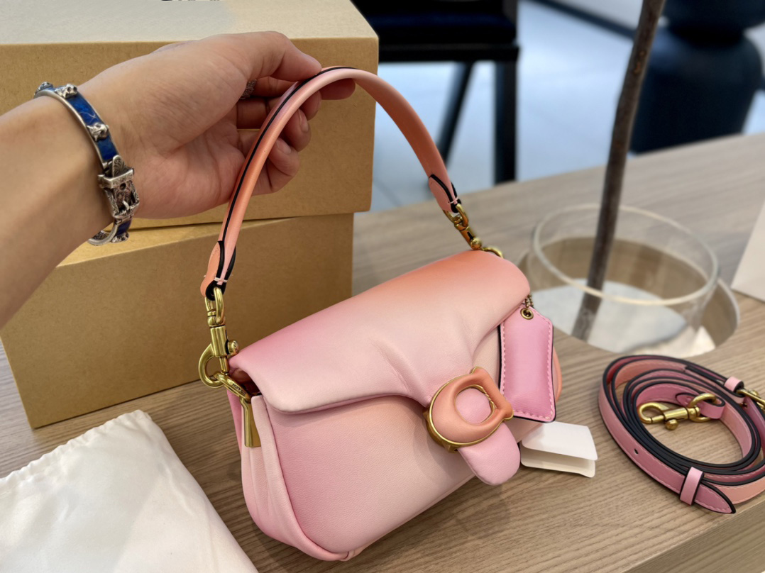 

TZ Designer bags advanced gradient color Pillow tabby cloud bag cute temperament sheepskin long and short gradient color shoulder strap fashion mini underarm bag, Customize