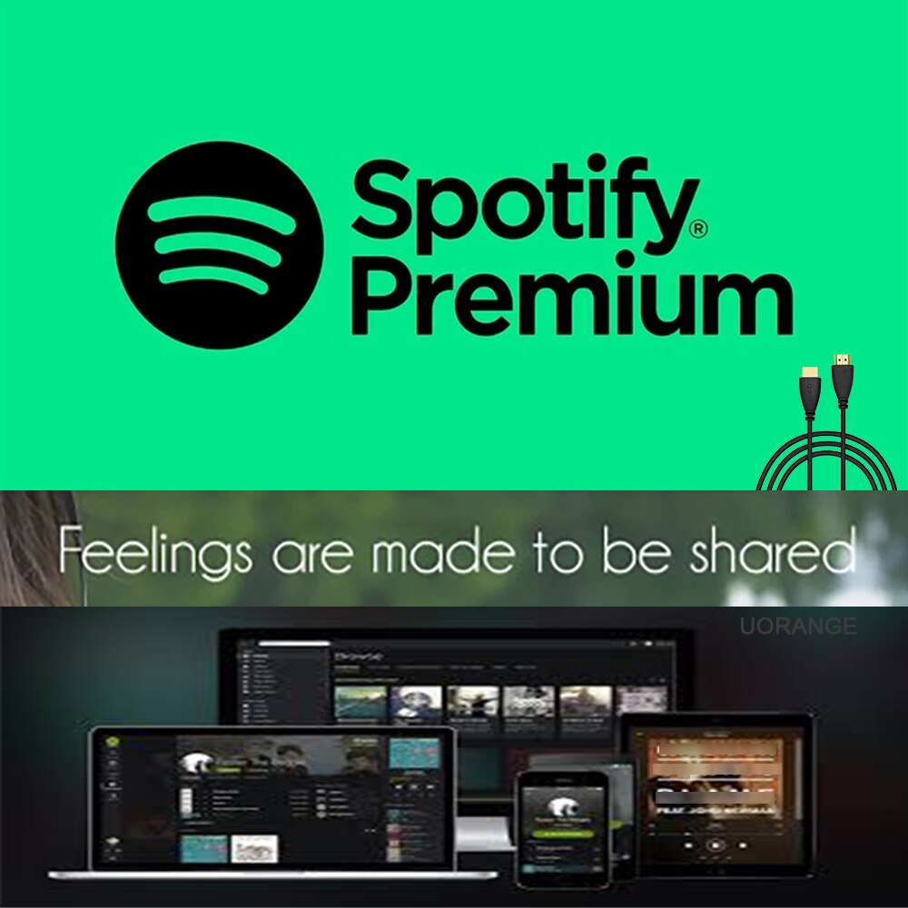 Brand New Spotify Premium 1 Year Play Region Free Works On HDD Player Android PC Mac IOS WIFI Speaker All Platform Fast Delivery-image-767192803