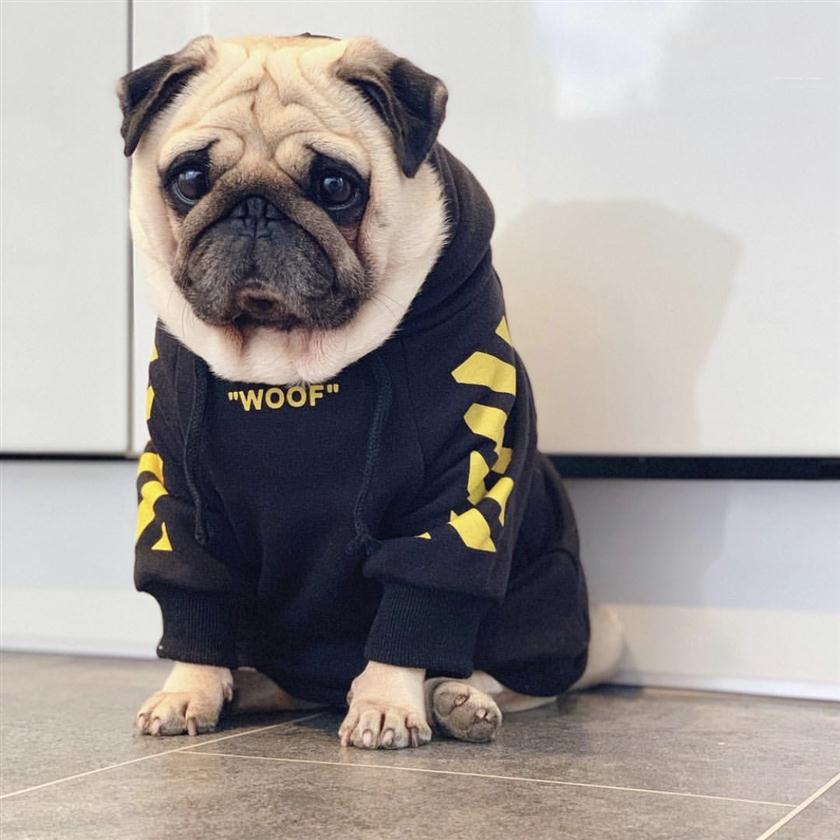 

Autumn Winter Dog Apparel Two-Legged Mulit Color Stripes Sweatshirts For Small And  Dogs Sweater Pet Sports Clothes Jacket P242d, White