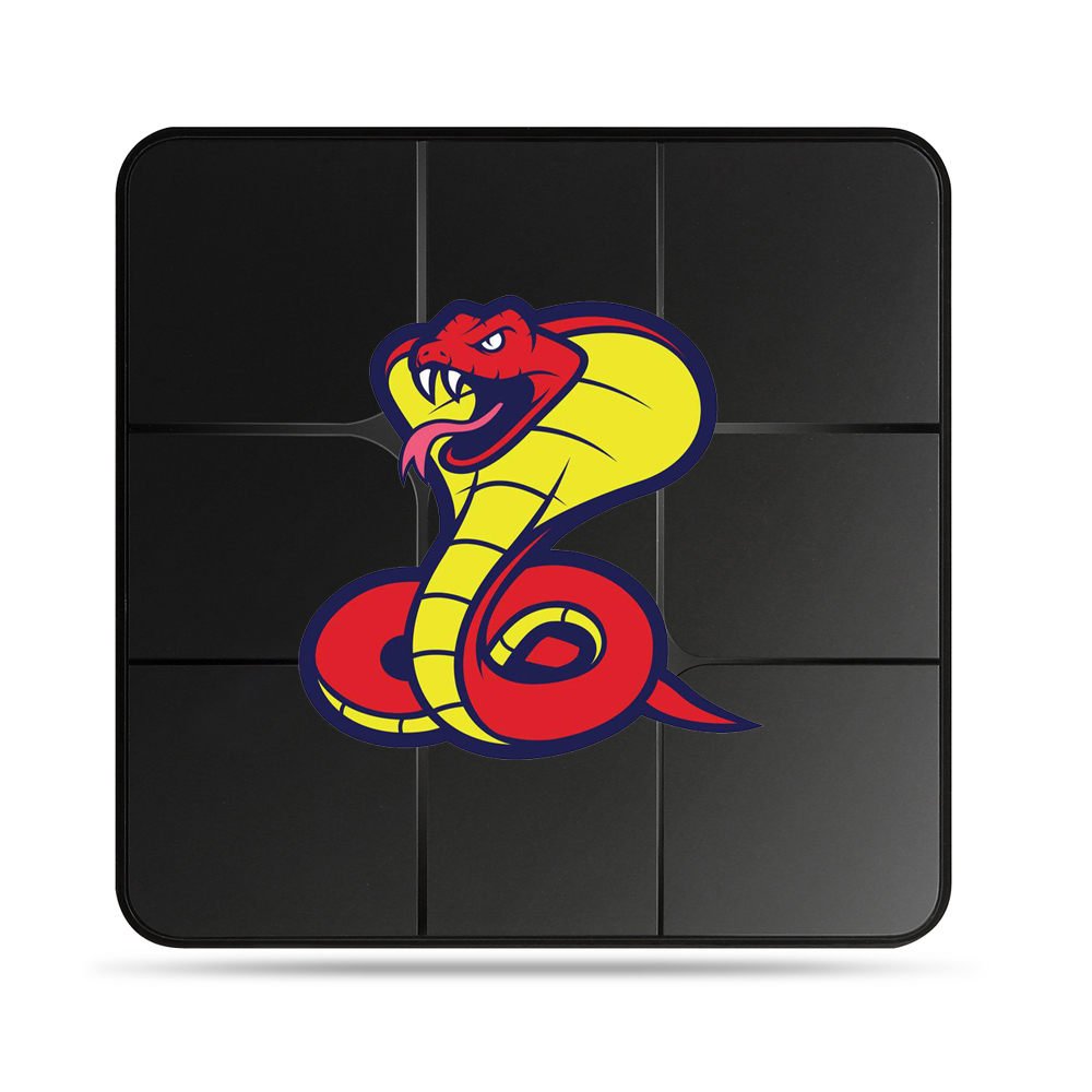 

COBRA smart TV OTT M3U-LINK stable Program UHD 4K HD live&VOD hot sell country UK USA Netherlands Spain Full europe mytv PRO