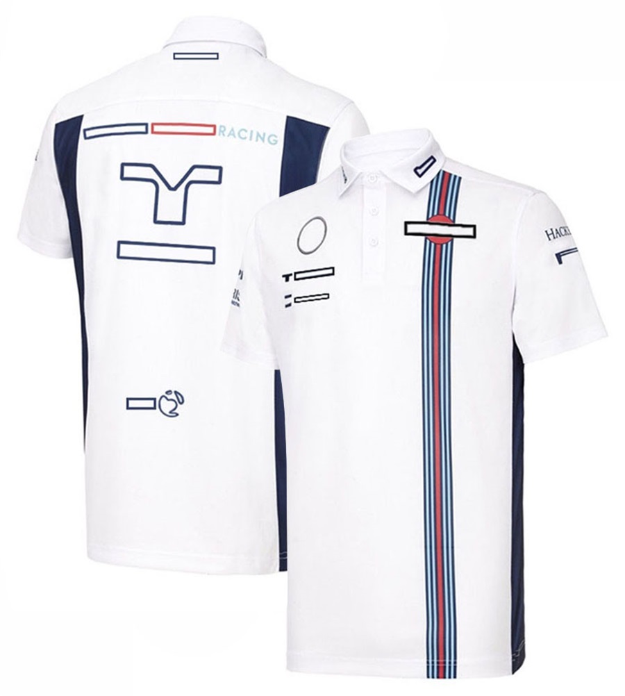 

F1 Racing Fans Short Sleeved T-shirt Half-sleeved Formula 1 Polo shirts quick-drying tops team racing suit custom F1 t-shirt car logo Jersey plus size