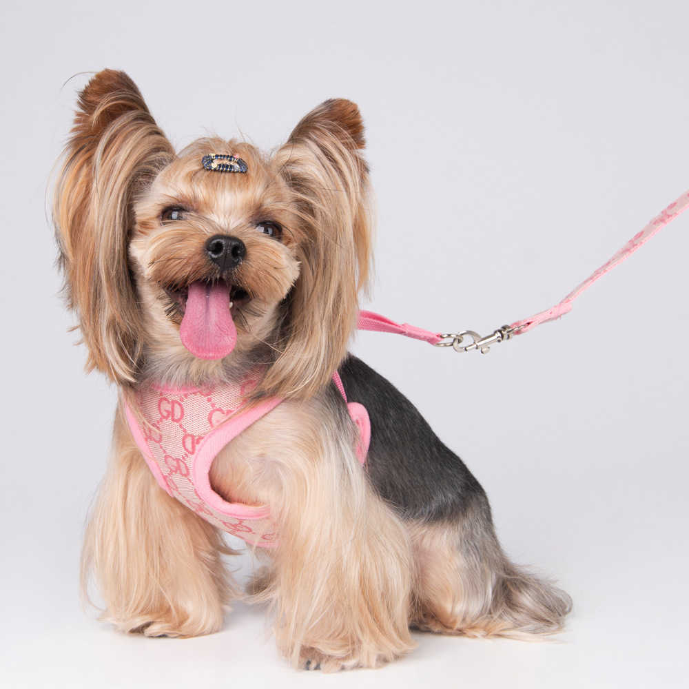 

please understand Dog Leashes Set Classic Pattern Pets Collars Leash Breathable Mesh Pet Harnesses for Small Dogs Poodle Schnauzer