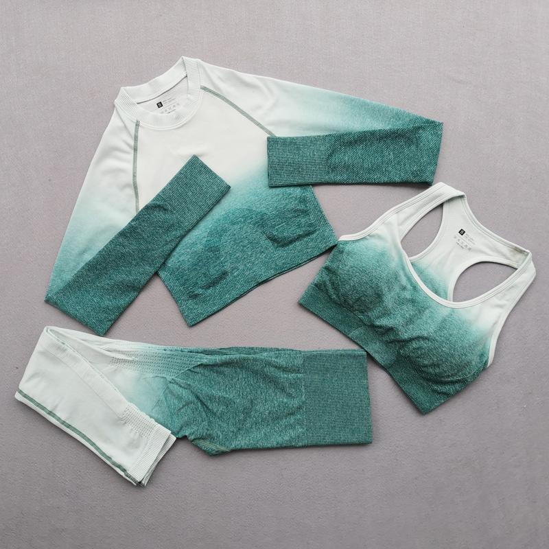 

Yoga Outfit 2/3PCS Ombre Seamless Set High Waist Leggings Sport Bra Long Sleeve Crop Top Women Running Gym Clothing Fitness Sports SuitYoga, Pink gray 2pcs set