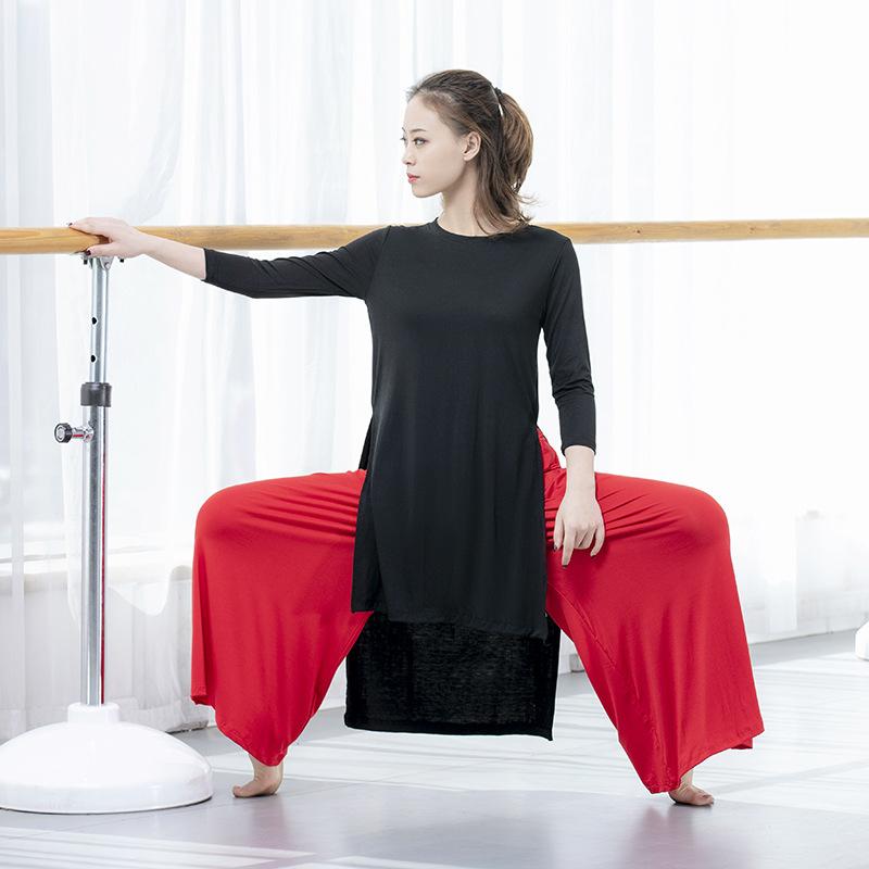 

Stage Wear Adult Comfortable Modal Belly Dance Long T Shirt Split Top Costume For Women Dancing Clothes Dancer ClothingStage, White