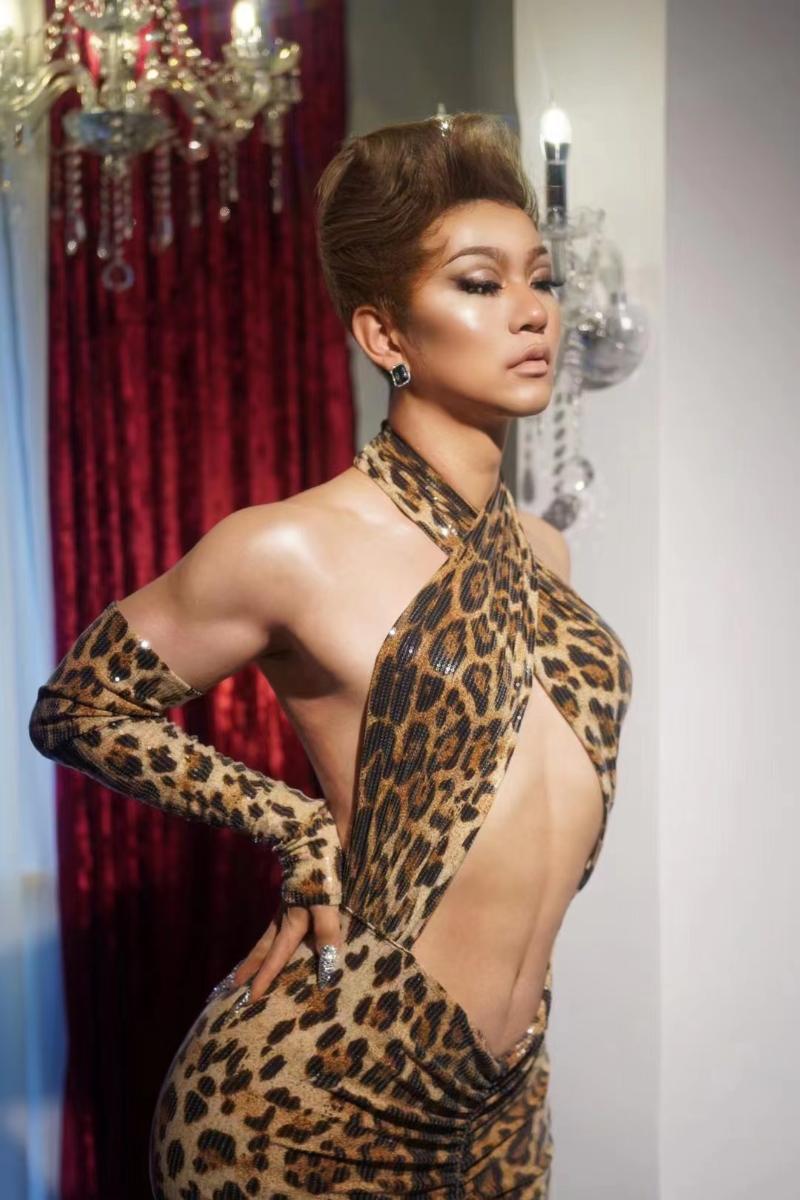

Stage Wear Rave Outfit Leopard Print Circus Costume Burning Man Cheerleader Dance Sexy Mesh See Through V Neck Bodysuit BodyconStage, Multi