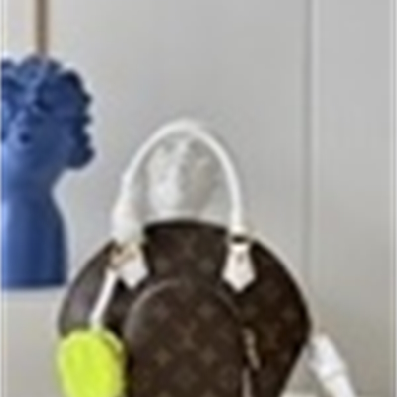 

M20752 ELLIPSE BB handbag Clutches Evening Pouches Mini Belt Bags Long Wallet Chain Wallets Purse, All with logo