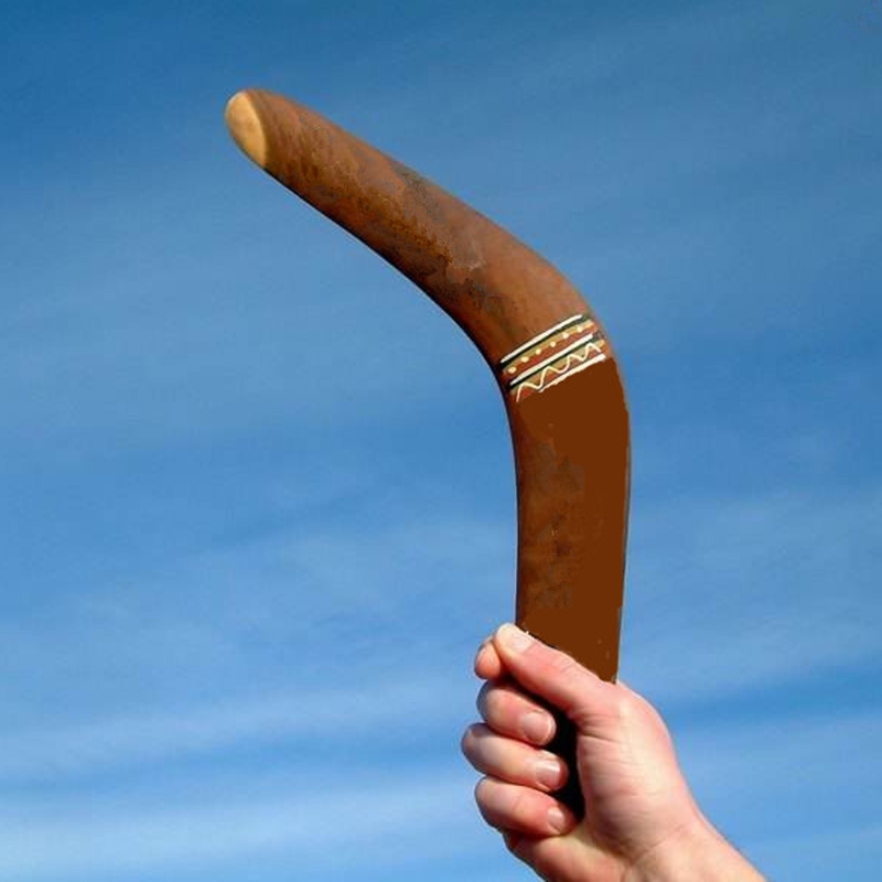 

Kangaroo Throwback V Shaped Boomerang Flying Disc Throw Catch Outdoor Game
