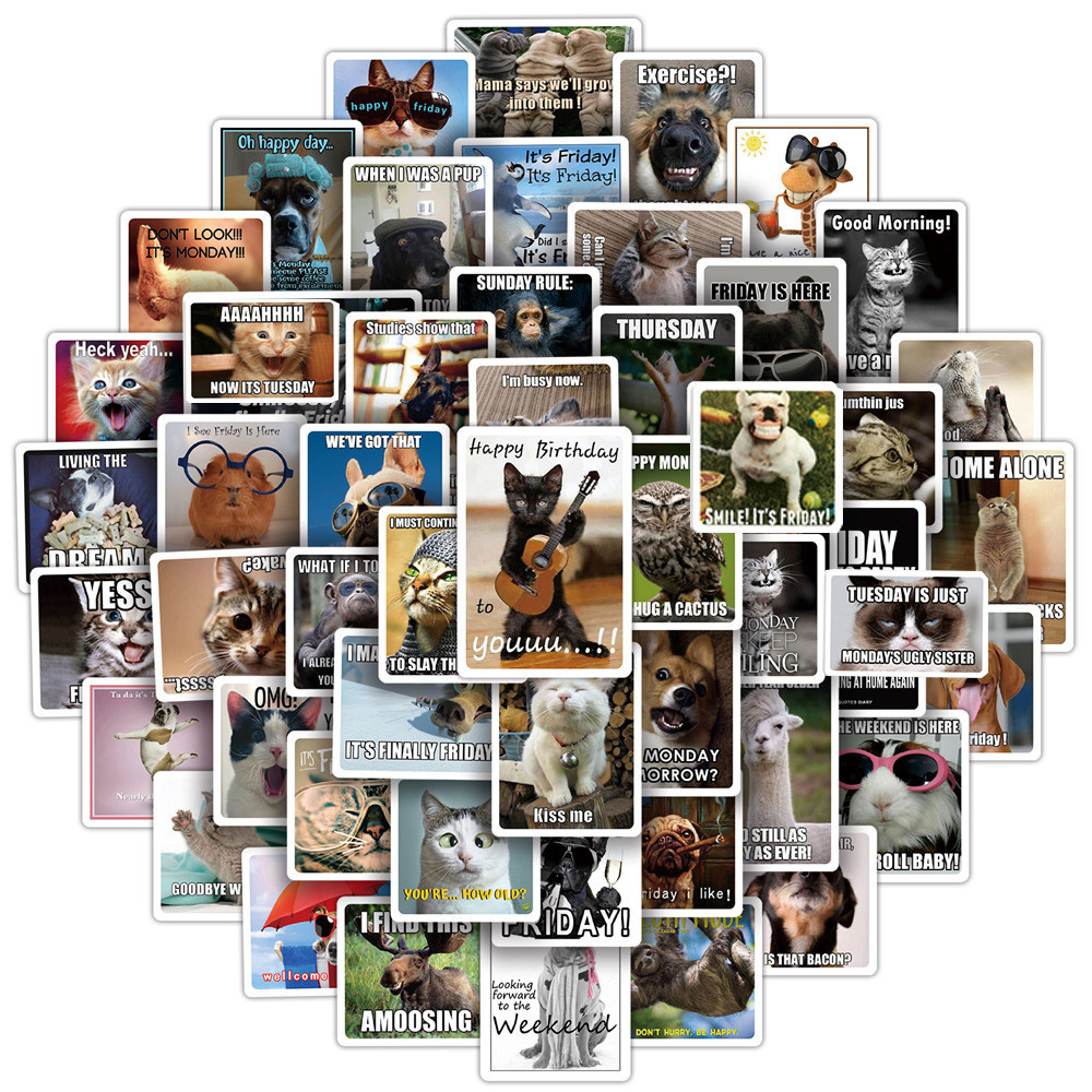 

Waterproof 10/50/100pcs/pack Funny Cat Meme Stickers Skateboard Motorcycle Suitcase Car Laptop Waterproof Graffiti Sticker Decal Kid Toy Car sticker, Meme 10pcs