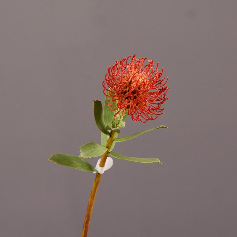 

Decorative Flowers & Wreaths MBF Artificial Flower Leucospermum Wedding Decoration High Quality Fake Pin Cushion Home Decor DIY Arrangement, Green