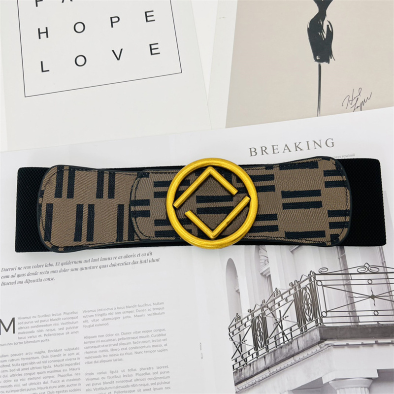 

2022 Fashion Women Waistband Designer Letter Brand Wide Belts For Ladies Dress Accessories Elastic Waist Girdle Luxury PU Leather Belt, As pics