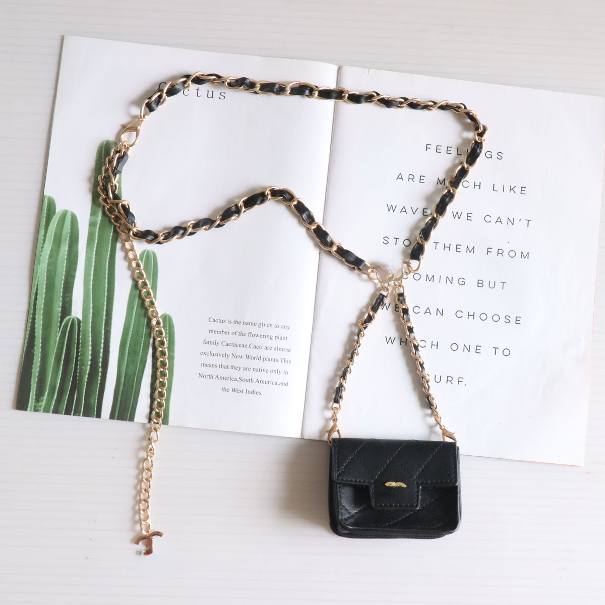 

New Mini Waist Bags Gold Chain Small Lipstick Bag Messenger Bag Women Card Houlder Coin Purse, Black