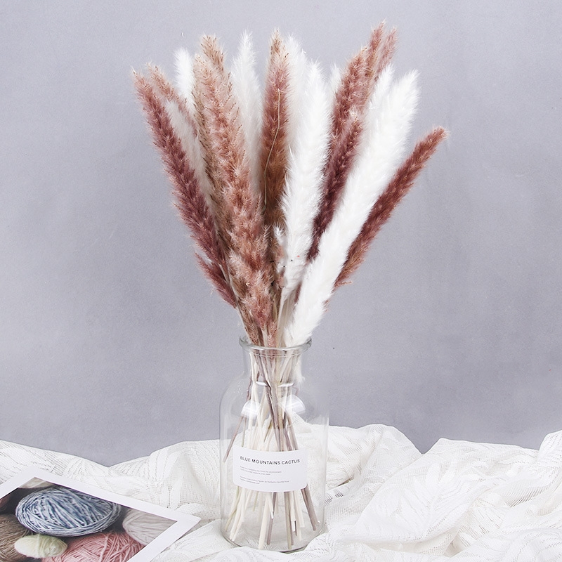 

15Pcs Dried Small Pampas Grass Flowers Pantas Artificiales Para Decoracion Real Plants Home Decor Wedding Decoration, Black pampas 15 pcs