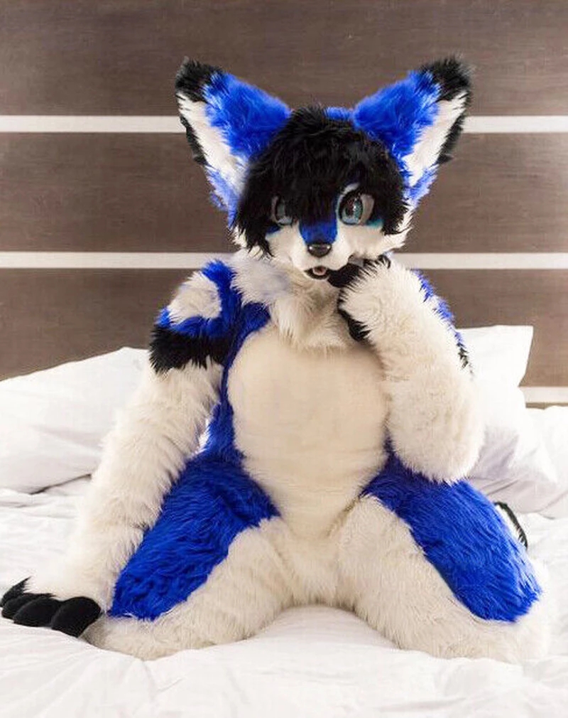 

Beast Fursuit Medium Long Fur All-in-one Husky Fox Mascot Costume Walking Halloween Suit, As pic