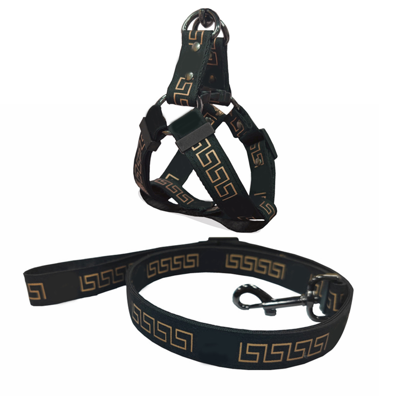 

No Pull Designer Dog Harness and Leashes Set Classic Bronzing Pattern Adjustable Dog Collars Leash Safety Belt for  Medium Large Dogs Cat Sheepdog Bulldog XL B78