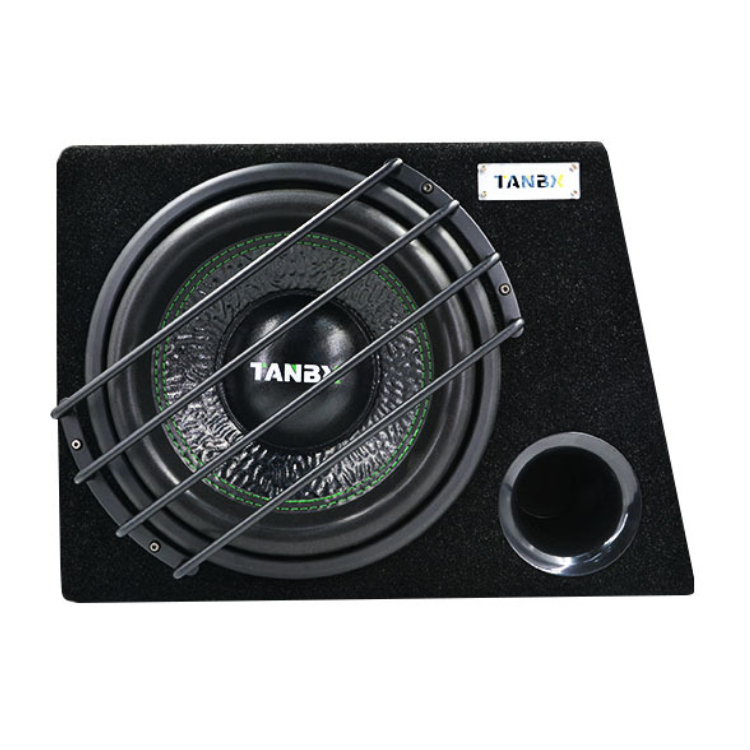 

10 Inch Car Subwoofer High Power Car Audio Modification