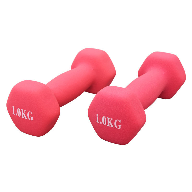 

Dumbbells Weightlifting Home Fitness Equipment Weights Hand Slimming Dumbbell Fitness Equipments, Pink