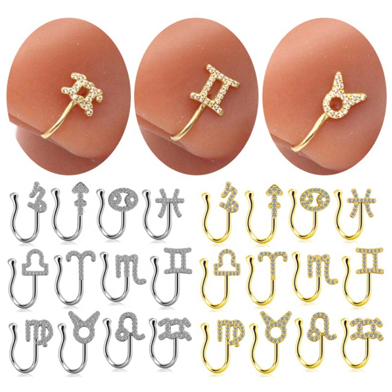 

Constellations Copper Clip On Nose Ring Kit 12 Constellation CZ Body Nose Clips