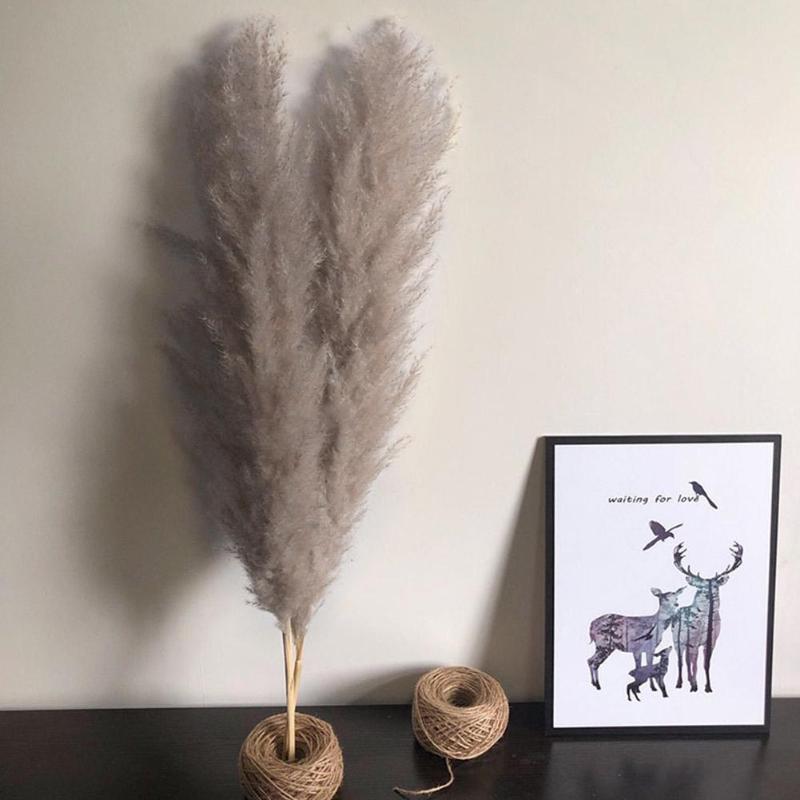 

Decorative Flowers & Wreaths 3Pcs/Set Natural Dried Flower Pampas Grass Gray Reed Home Decoration Wedding Layout Corner Shop Display Window, 01