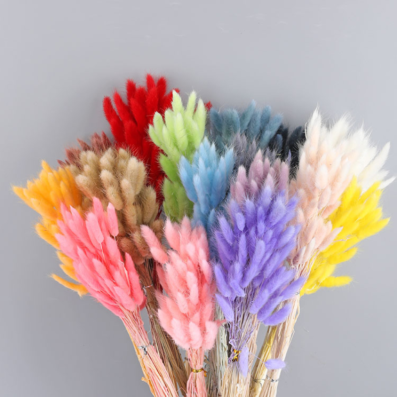 

50PCs Natural Dried Flowers Rabbit Tail Grass Ornaments Lagurus Ovatus Real Bouquet Wedding Decoration DIY for Home Decor Plants, Purple rabbit grass 50 pcs