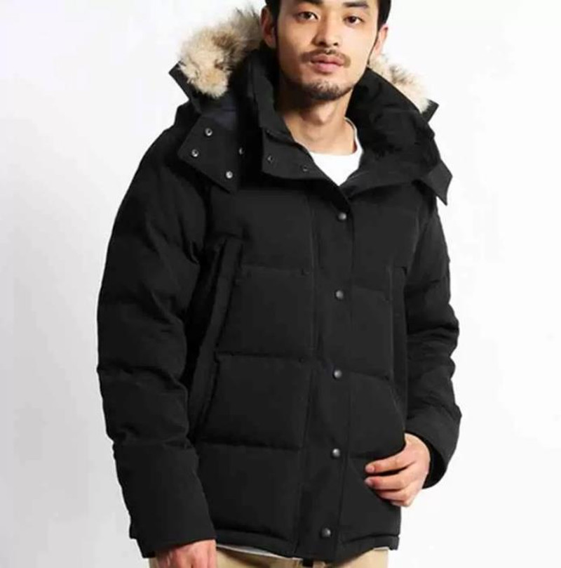 

Men Winter Down Coats Parkas Jassen Chaquetas Outerwear Wolf Fur Hoodeds Manteaus Wyndhams, Hi