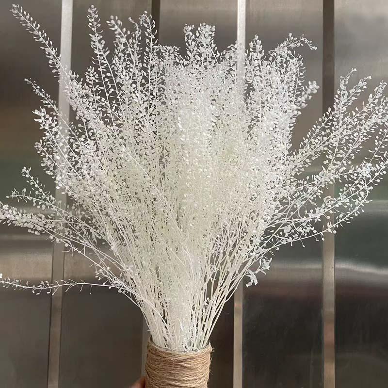 

Decorative Flowers & Wreaths 35-45CM/About 40g Real Natural Dried Preserved Mini Green Fan Bouquet,Eternelle Dry Scallop Flower,Home Decor, 06