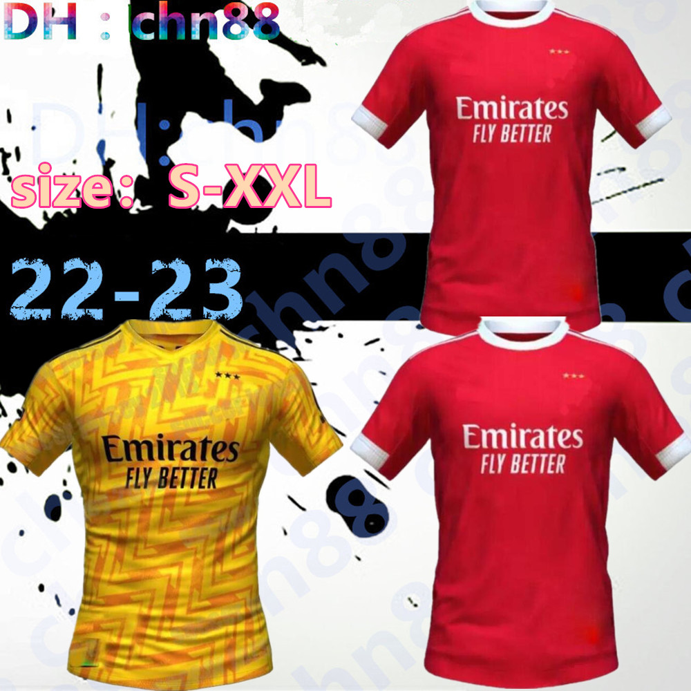 

22 23 Benfica soccer jersey home and away SEFEROVIC WALDSCHMIDT EVERTON PIZZI RAFA DARWIN G.RAMOS 2022 2023 Home Football shirts OTAMENDI, 22-23 away