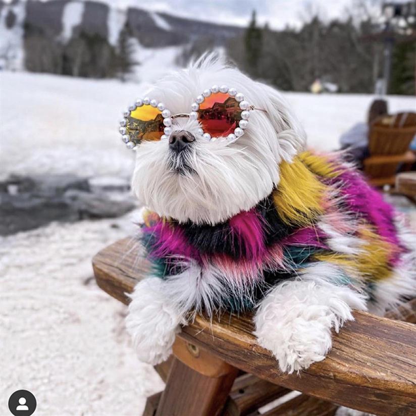 

Teddy Bulldog Schnauzer Sunglasses Outdoor Sun Glasses Dog Apparel for Pet Fashion Pearl Pets Sunglass Dogs Accessories309e, 11cm