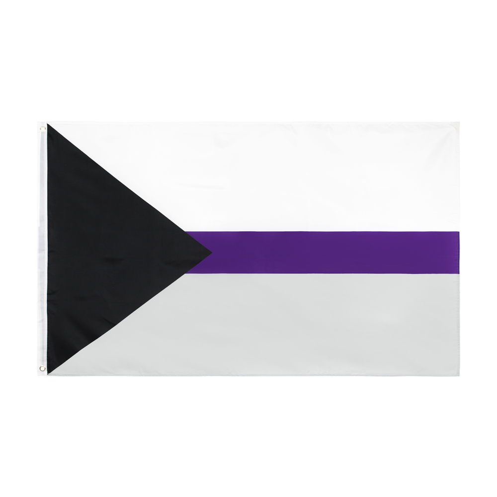 

90x150cm LGBTQIA flags Ace Community Demi Asexuality asexual pride demisexual Flag