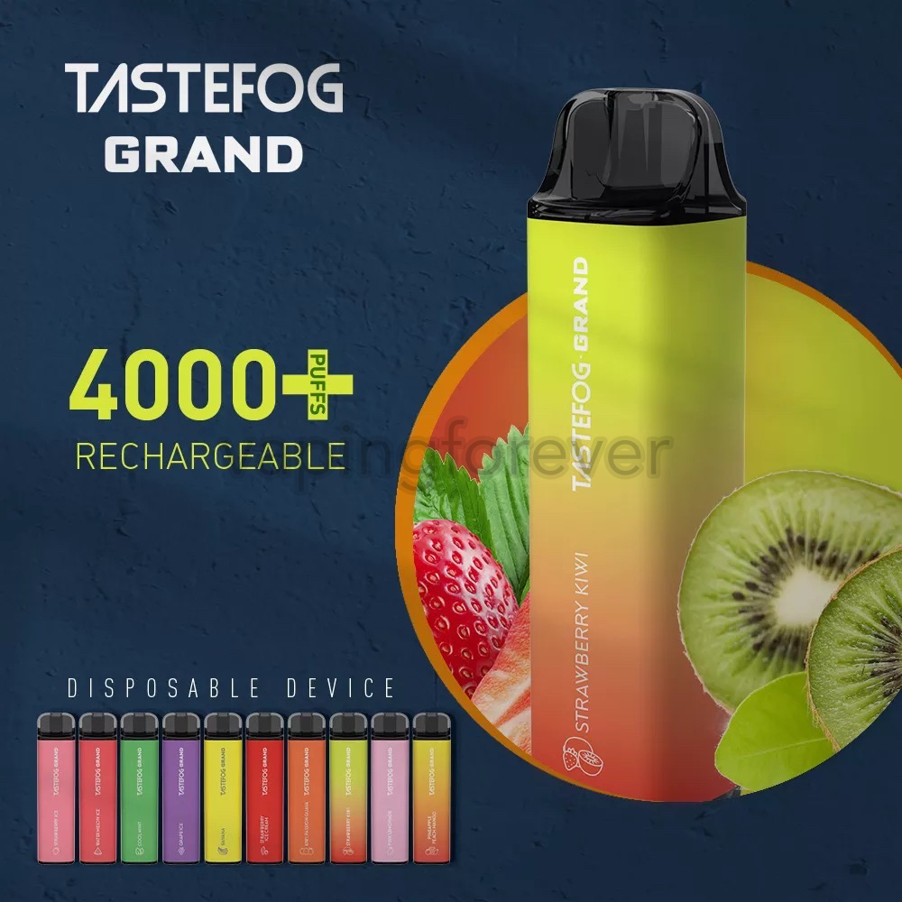 

Tastefog Grand 4000 Puffs Disposable E Cigarettes Vape Pen 650mAh Rechargeable Battery 2% 12ml Pre-Filled Cartridge Device Stick Vaporizer Kit Bang XXL