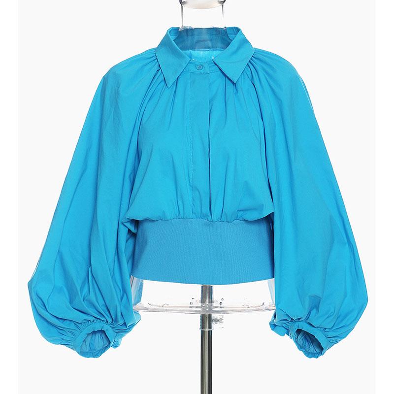 

Women' Blouses & Shirts SeeBeautiful Vintage Large Size Blouse Shirt Lapel Lantern Sleeve Button Ealstic Waist Simple Fashion 2022 Autumn W, Blue