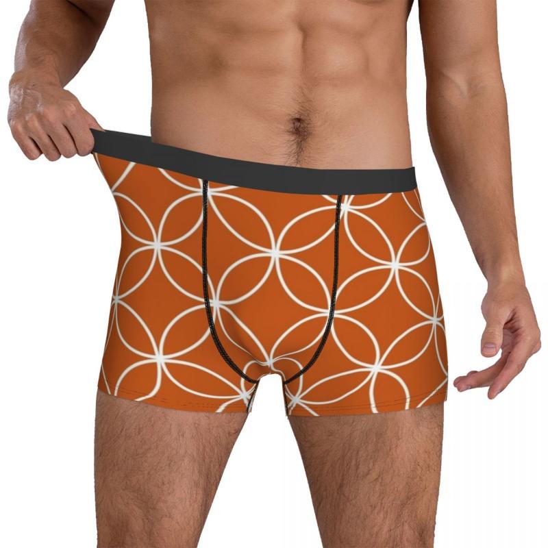 

Underpants Circles Crossing Underwear Orange And White Custom Boxer Shorts Man Panties Breathable Briefs Birthday PresentUnderpants, 16