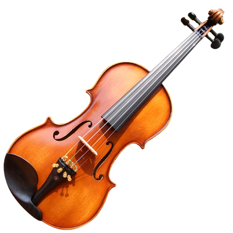 

Tiger violin Italian high-end college level Handmade Natural violin instrument