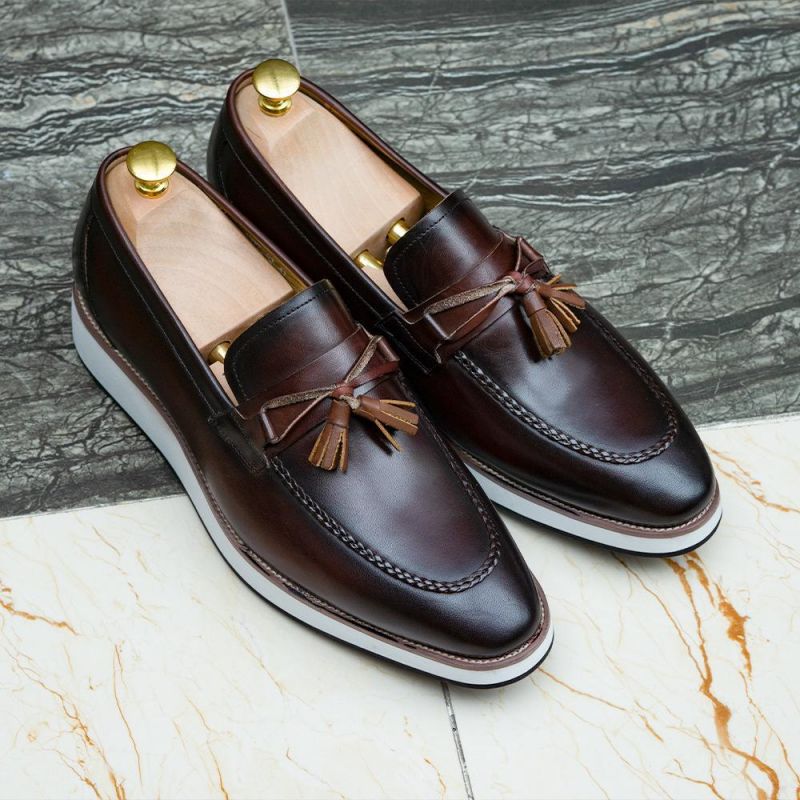 

Leather Loafers Men Shoes Solid Color Fashion Pointed Toe Comfortable Thick Bottom Trend All-match Tassel Casual Slip-on Shoes KB240, Clear
