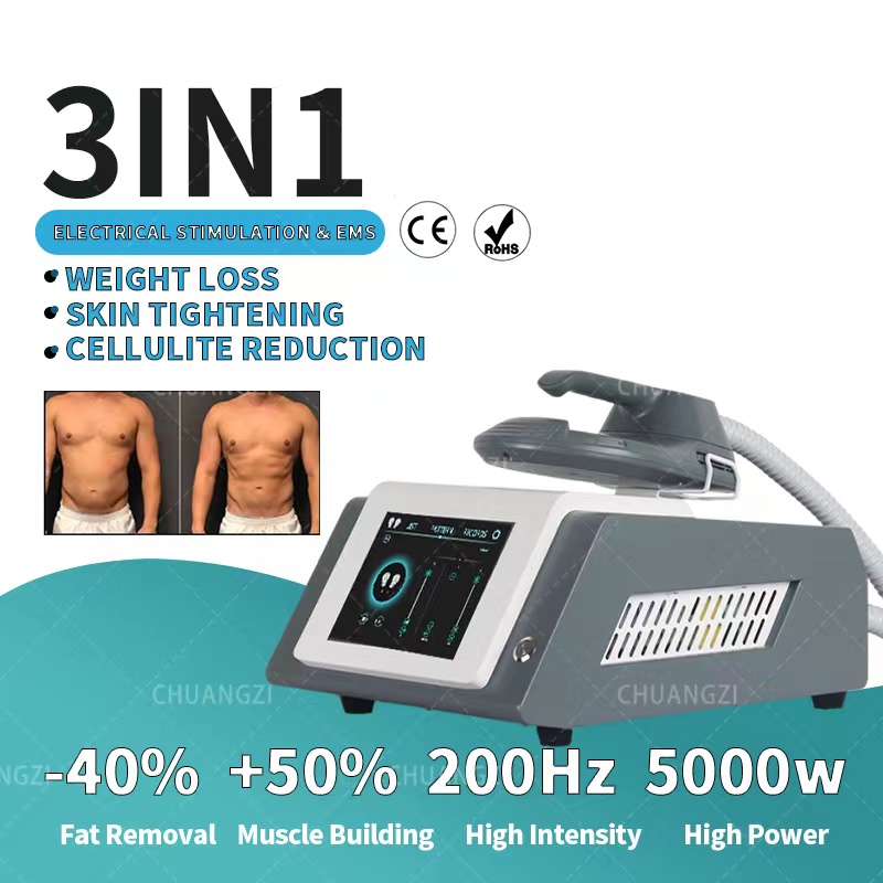 DLS-EMSLIM Mini HIEMT RF Body Build Slimming Machine Ems Electromagnetic Muscle Stimulation Fat Burning 2 Years Warranty Home use emszero neo-image-771649932