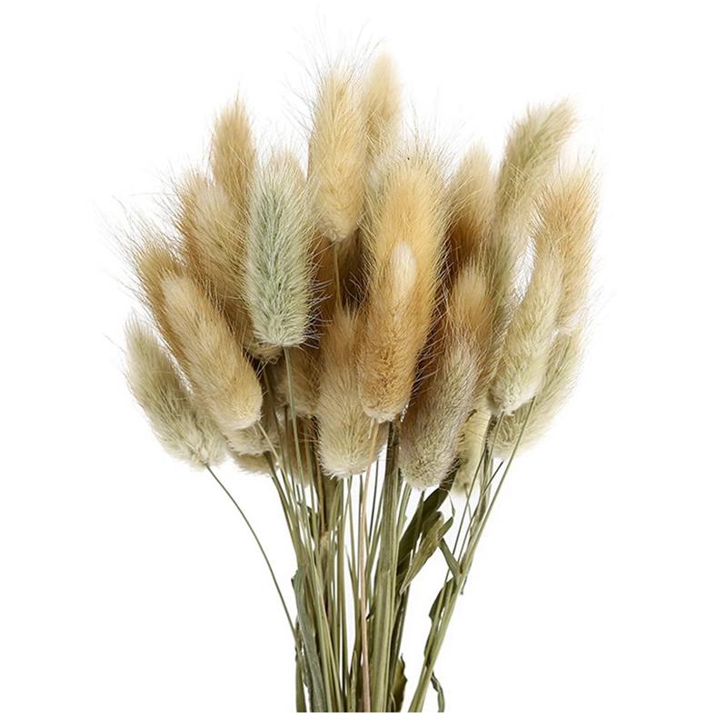 

Decorative Flowers & Wreaths 60 Pcs Natural Dried Flower Grass Tail Decoration Pography Props For Home Store Wedding Decor, Raw color