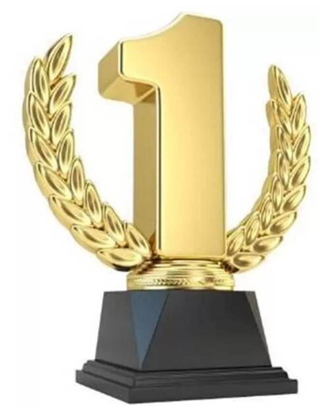 

Collectable payment coin Dont order Its fast link for customers to pay for extra price such as shipping cost DHL fees and so on