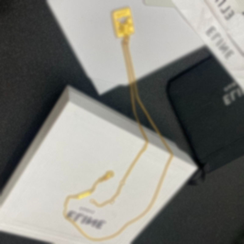 

Necklace Choker Designer 18K Gold Plated Brass Copper C-Letter Pendant Necklaces Women Wedding Jewelry Accessories Wholesale B117