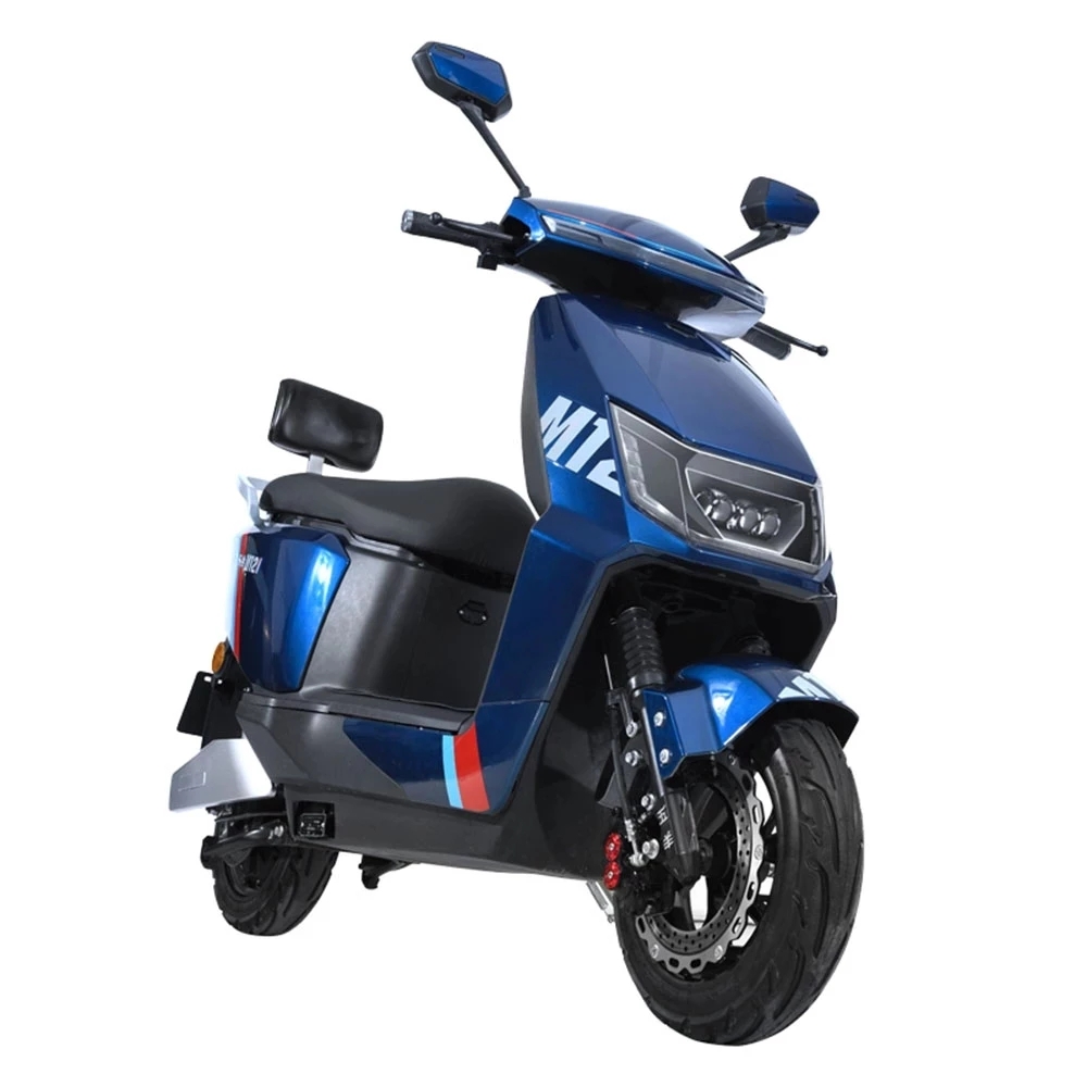 

Electric Motorcycle with Lithium Battery E-bike for Adult, Black