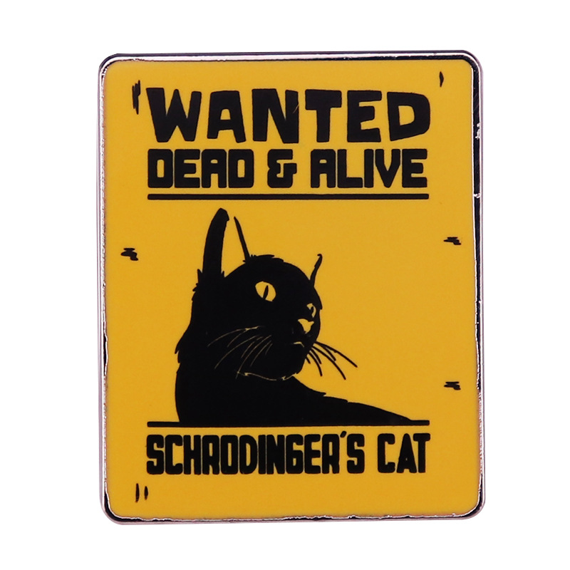 

Wanted Dead Alive Schrodingers Cat Enamel Pin Yellow Badge Quantum Physics Science Brooch Nerd Humor Jewelry, As picture