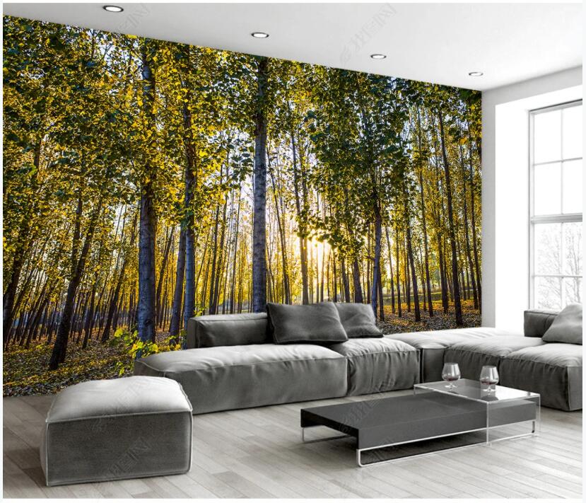 

3d wallpaper custom photo mural sunny forest tree scenery background painting in the living room home decor 3D wall murals wallpapers for walls in rolls, Non-woven wallpaper