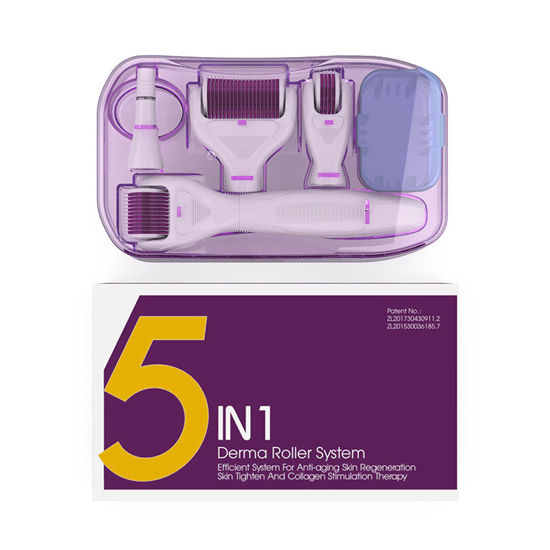 

5 in 1 Microneedle Roller Set With 4 head 1200/720/300/12 needles Hair-loss Treatment Tattoo Beauty Tools Skin Care Tools